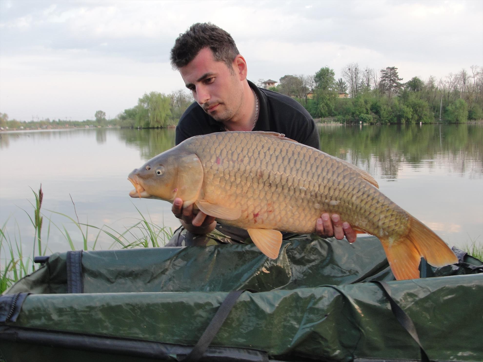 Peris 2015  - dsc00935.JPG